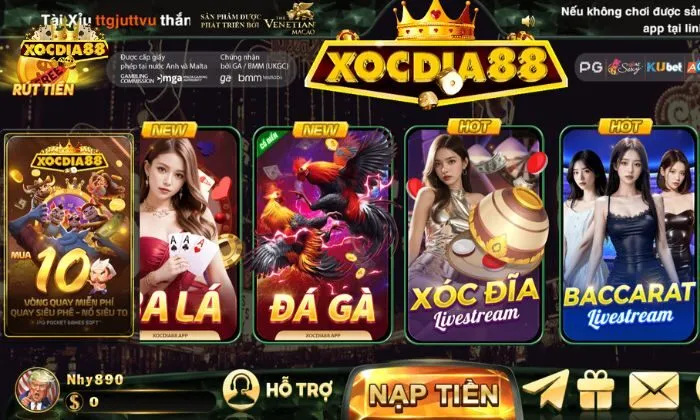 Đá gà xocdia88 Đăng ký tài khoản tại Xocdia88